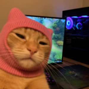 Source: profile picture from 2025-05-29