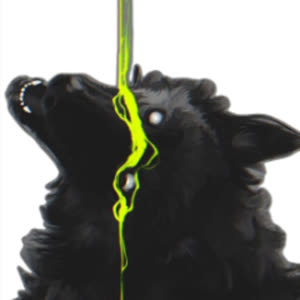 Source: profile picture from 2025-09-04