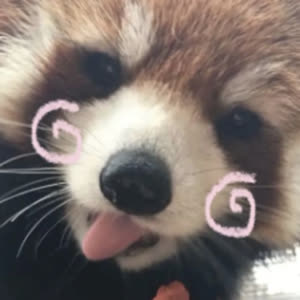 Source: profile picture from 2024-01-11