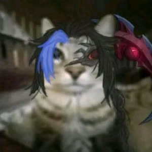 Source: profile picture from 2025-05-26