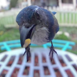 Source: profile picture from 2025-05-26