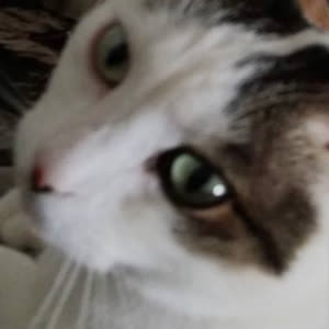 Source: profile picture from 2024-05-02
