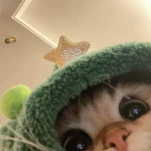 Source: profile picture from 2026-01-19