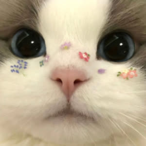 Source: profile picture from 2024-12-12