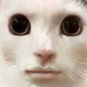 Source: profile picture from 2025-09-04