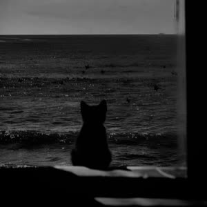 Source: profile picture from 2025-09-22