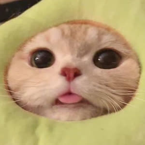 Source: profile picture from 2023-11-20