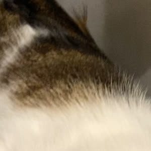 Source: profile picture from 2025-05-26