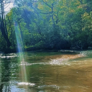 Source: profile picture from 2024-09-09