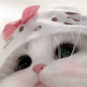 Source: profile picture from 2026-01-19