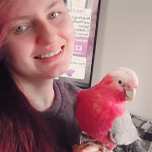 Source: profile picture from 2022-11-20