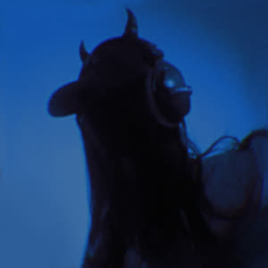 Source: profile picture from 2025-01-06