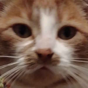 Source: profile picture from 2025-01-02