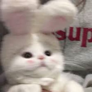 Source: profile picture from 2022-11-20