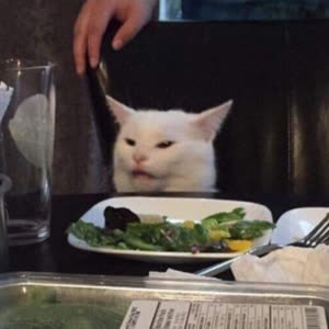 Source: profile picture from 2022-11-20