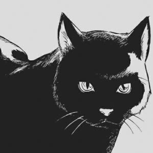 Source: profile picture from 2025-05-26