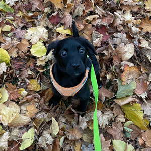 Source: profile picture from 2026-01-19