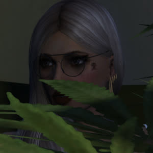 Source: profile picture from 2022-11-21