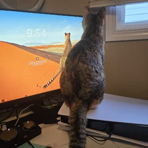 Source: profile picture from 2026-01-19