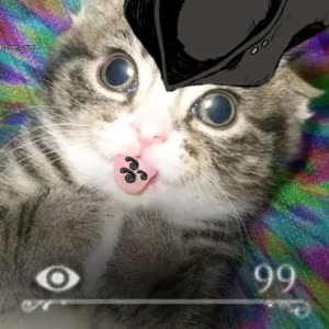 Source: profile picture from 2024-05-09