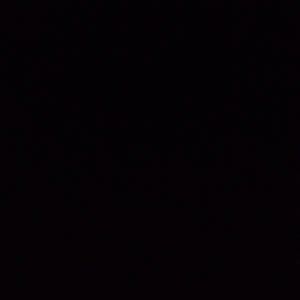 Source: profile picture from 2022-11-20