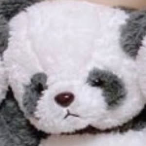 Source: profile picture from 2025-10-09