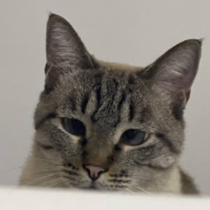 Source: profile picture from 2025-09-15