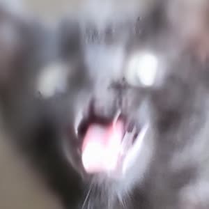 Source: profile picture from 2023-11-16