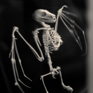 Source: profile picture from 2025-05-26