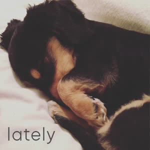 Source: profile picture from 2022-11-20