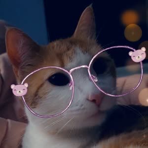Source: profile picture from 2026-05-18