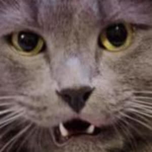 Source: profile picture from 2023-07-10