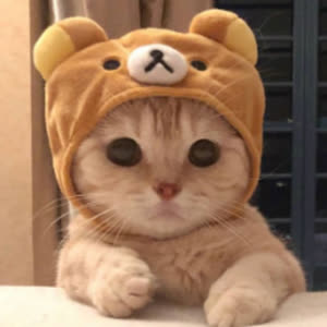 Source: profile picture from 2022-11-20