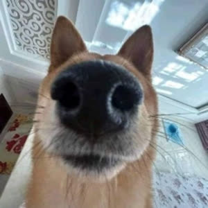 Source: profile picture from 2026-01-19