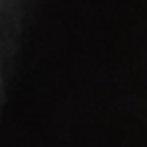 Source: profile picture from 2026-01-19
