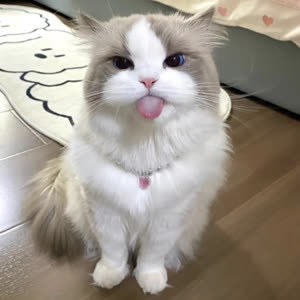 Source: profile picture from 2024-05-20