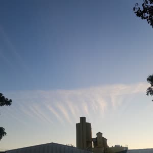 Source: profile picture from 2025-09-04