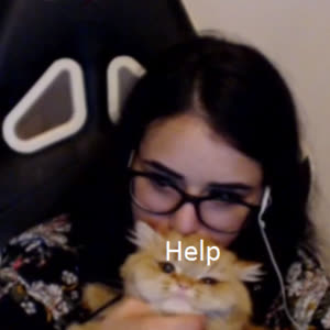 Source: profile picture from 2022-11-20