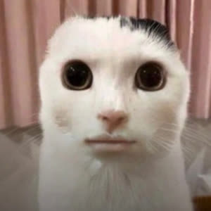 Source: profile picture from 2024-03-14