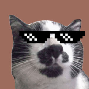 Source: profile picture from 2025-01-06