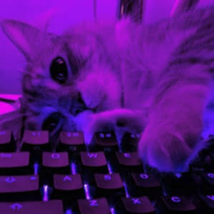 Source: profile picture from 2025-05-26