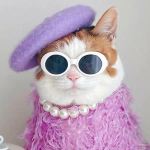 Source: profile picture from 2023-12-11