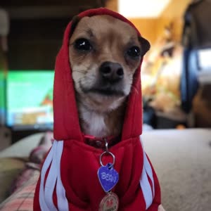 Source: profile picture from 2025-09-29