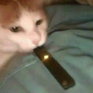 Source: profile picture from 2022-11-21