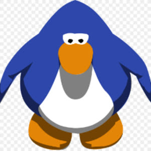 Source: profile picture from 2023-11-06