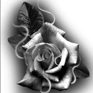 Source: profile picture from 2024-06-13