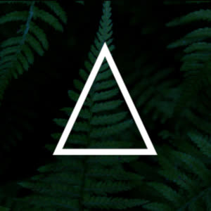 Source: profile picture from 2022-11-20