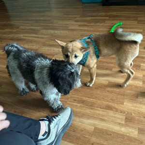 Source: profile picture from 2024-04-15