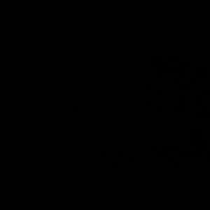 Source: profile picture from 2022-12-26