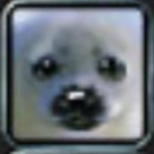 Source: profile picture from 2026-01-26